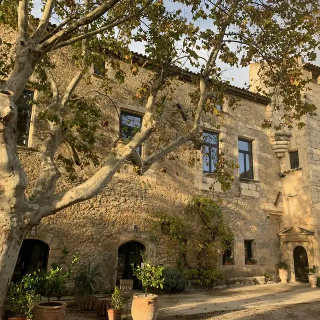 Chateau Petit Sonnailler