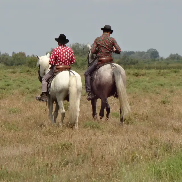 Visite à cheval à la manade Jacques bon_Arles