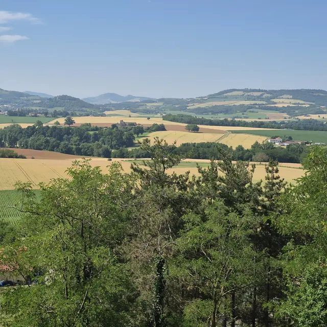 Vue sur la Limagne