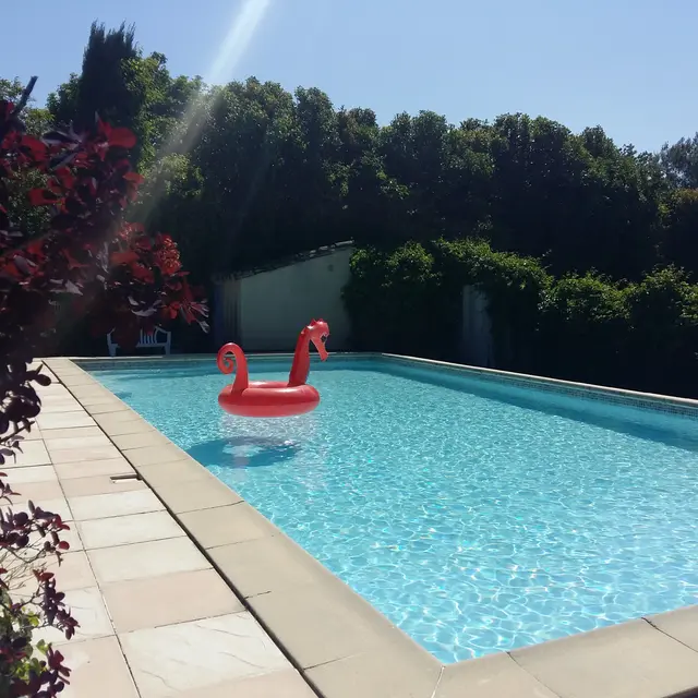 Gîtes Hermann  sous le plaqueminier_Pernes-les-Fontaines