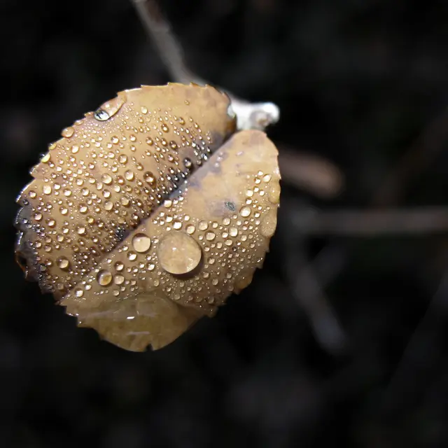 Atelier Botella - Barjols