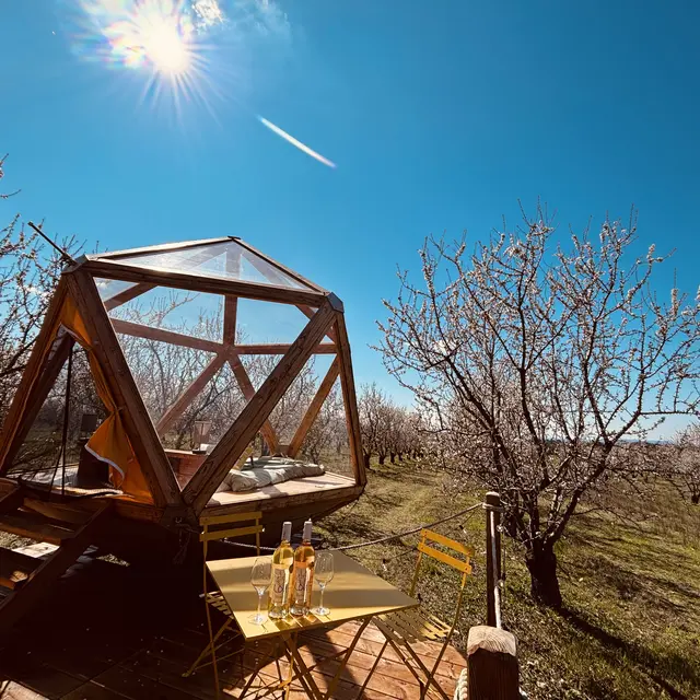 La Bulle Ico_Valensole