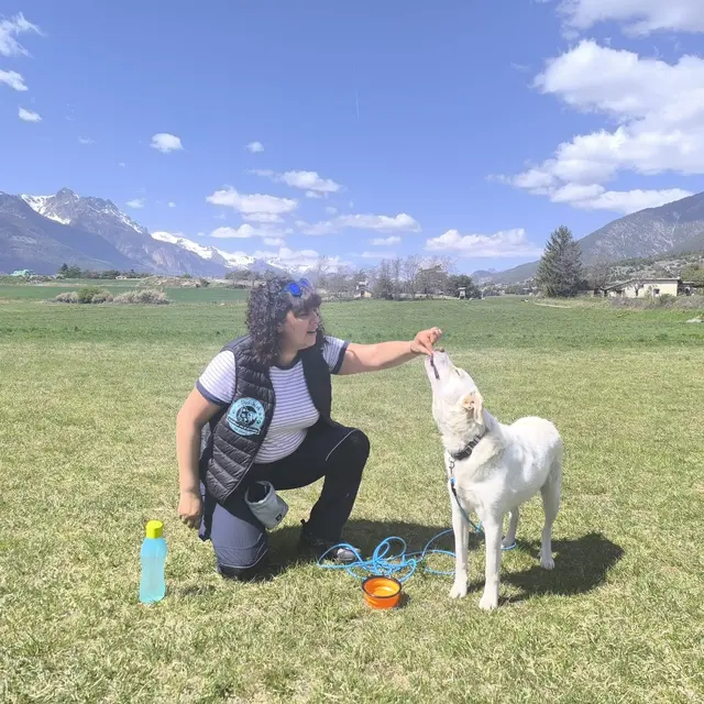 Daf-Waf petsitting_Eygliers