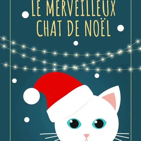 Le merveilleux chat de Noël_Avignon