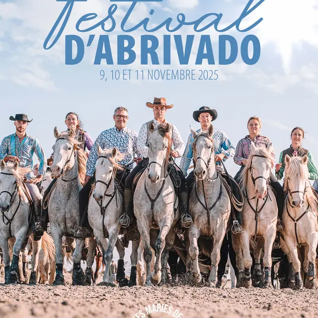 Festival d'Abrivado_Saintes-Maries-de-la-Mer
