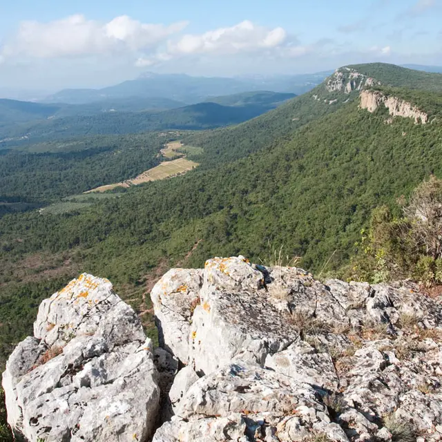 Randonnée d'observation de la nature au sommet des Barres de Cuers