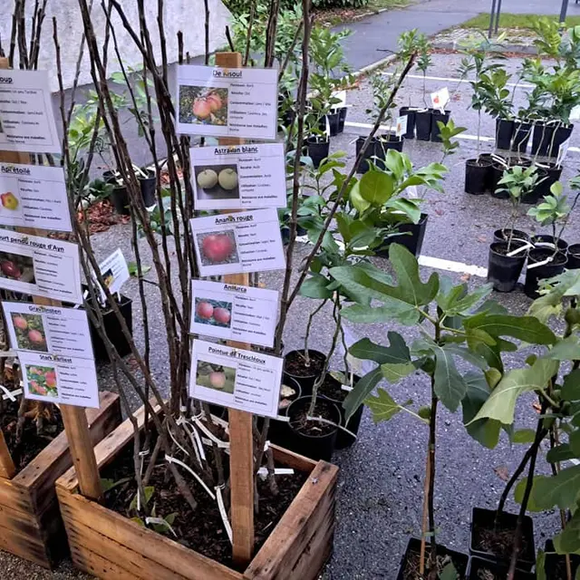 Les Pieds dans le Local®, spécial producteurs ! Visite d'exploitation : Pépinière Pep'Ain_Rossillon