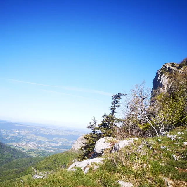 En montant à Roche Veyrand