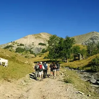Randonnée découverte de la faune