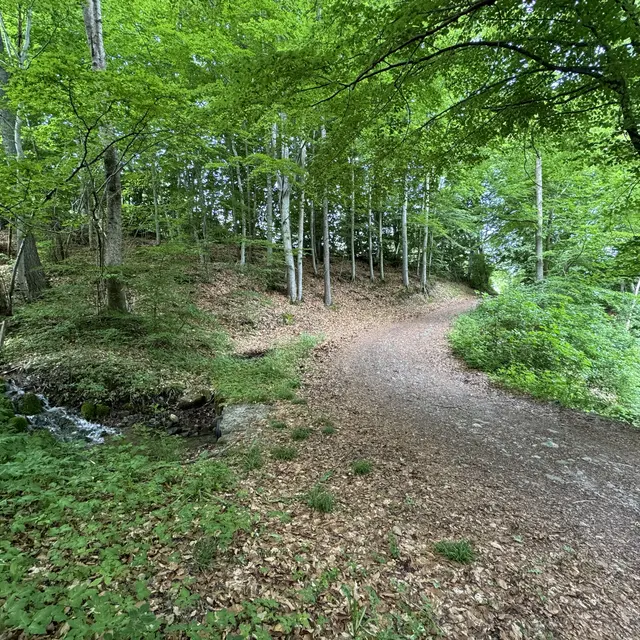Vers la plaine de Chabottes, Saint-Léger-les-Mélèzes