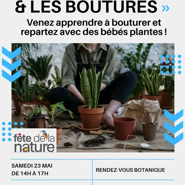 Marine et les boutures