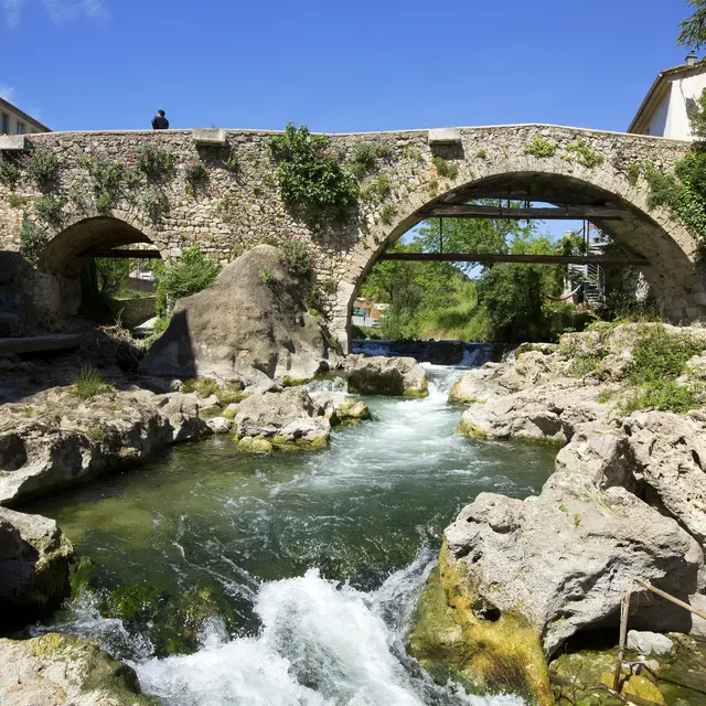 Carnaval : En route vers le futur_Trans-en-Provence