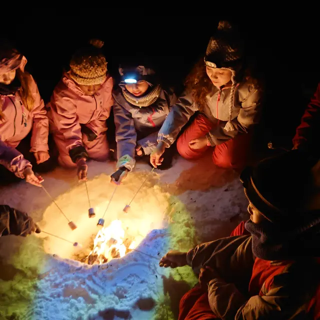 Balade nocturne guimauves sur le feu