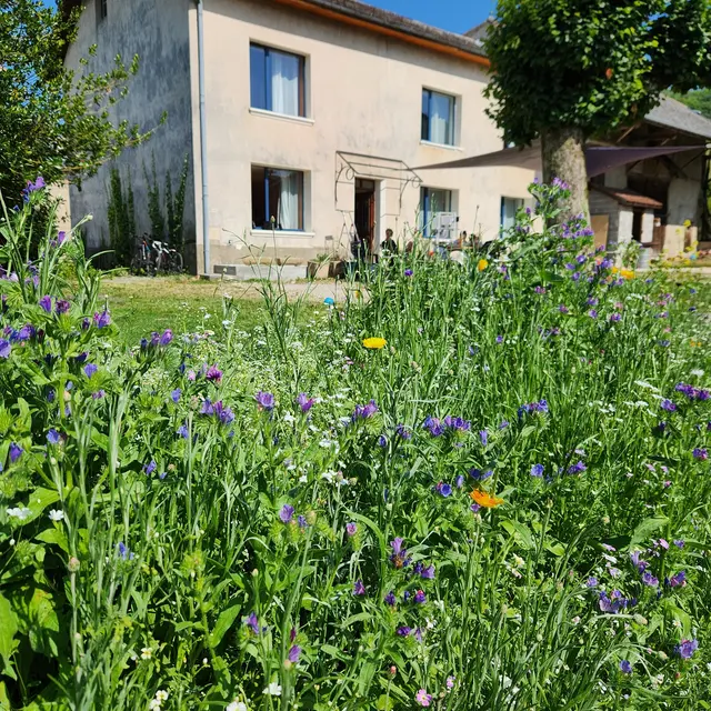 Gîte la fée Merlantine