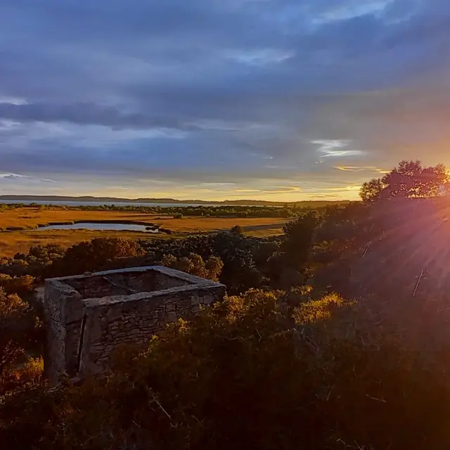 Crépuscule sur la Petite Camargue