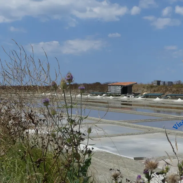 Marais salants