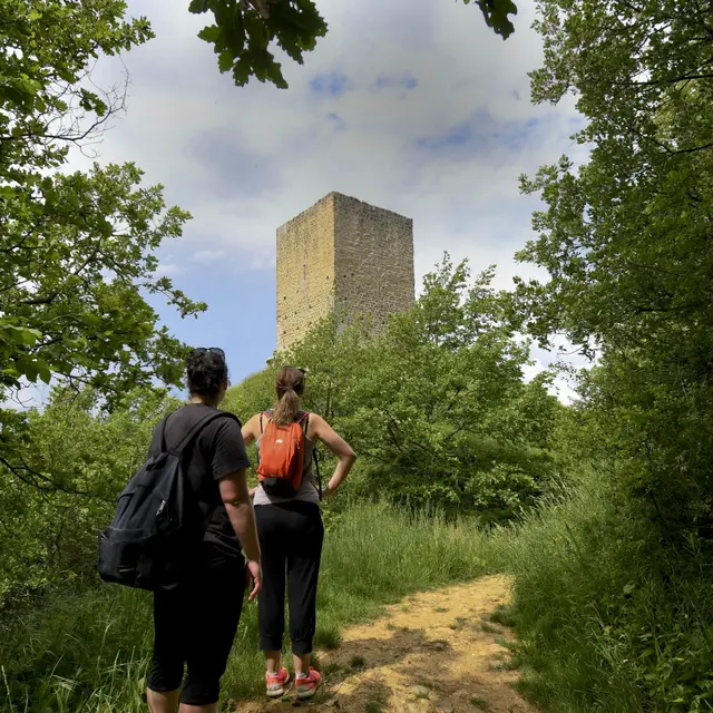 La Vigie du Dauphiné_Anneyron