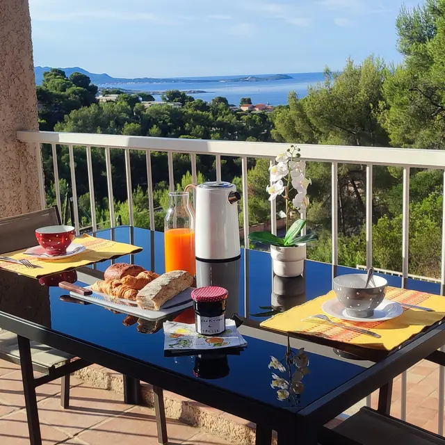Les Mimosas / Marchal_Bandol