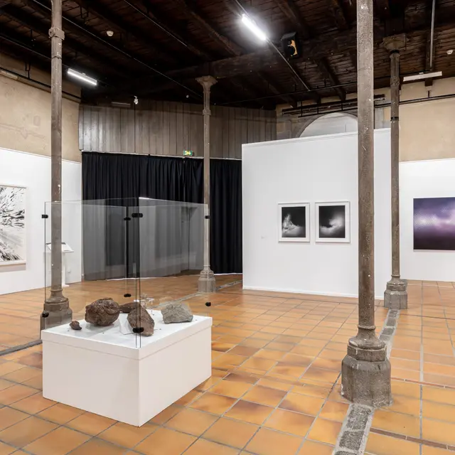 Exposition 