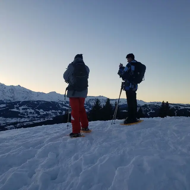 Tête noire aux premiers rayons du soleil