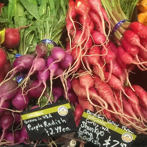 Les Fraîcheurs Moissagaises