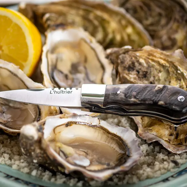 Couteaux d'art et de collection