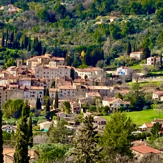 Terrain Chaix_Seillans