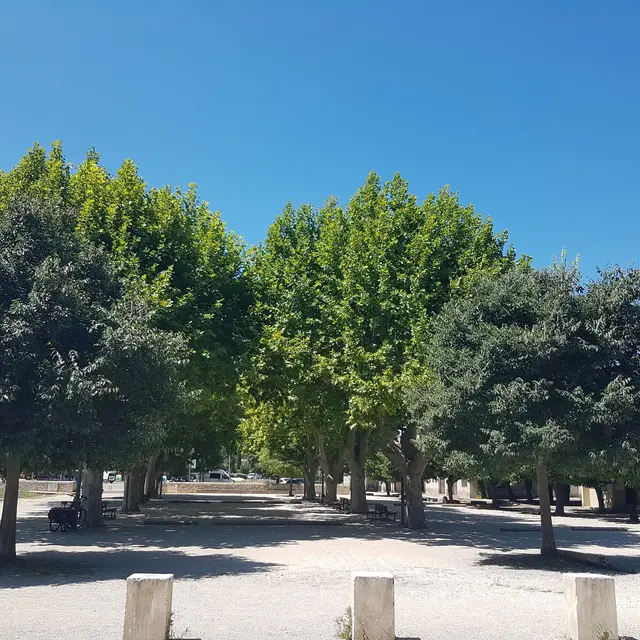 Boulodrome d'Eygalières_Eygalières