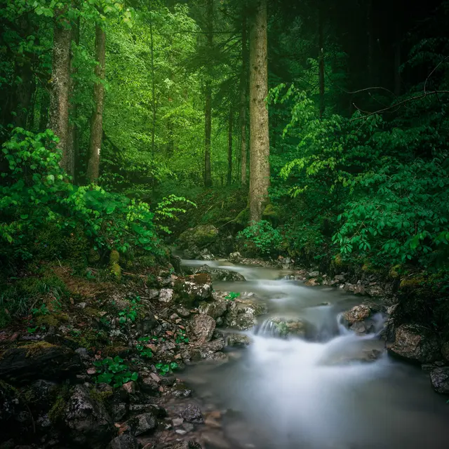 Exposition  : ce n'est que de l'eau_Saint-Pierre-de-Chartreuse