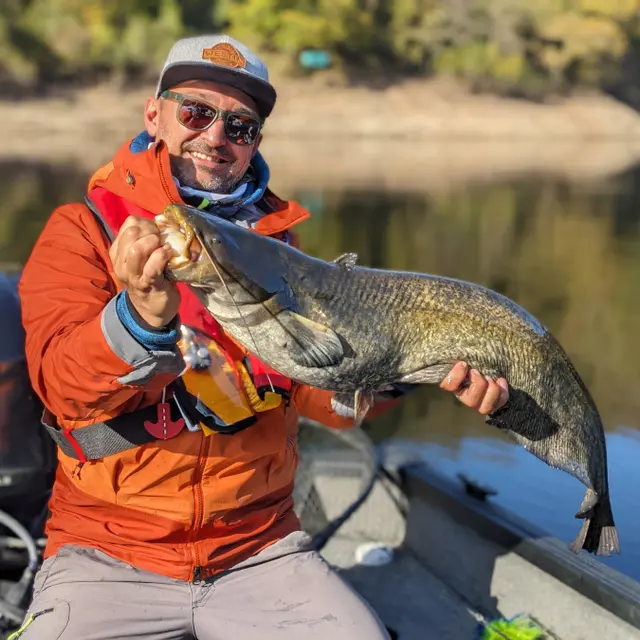 silure Bort les orgues.jpg