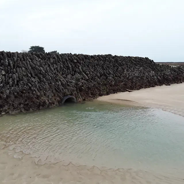 Reconstruction de l'écluse du Creu d'chu_Les Portes-en-Ré