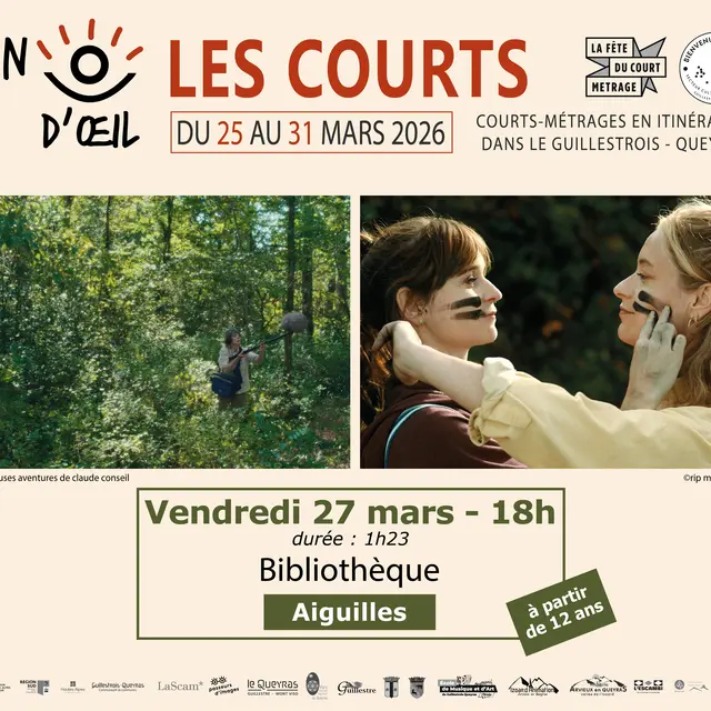 Clin d'œil - Compilation Carte blanche à la région Île-de-France !_Aiguilles