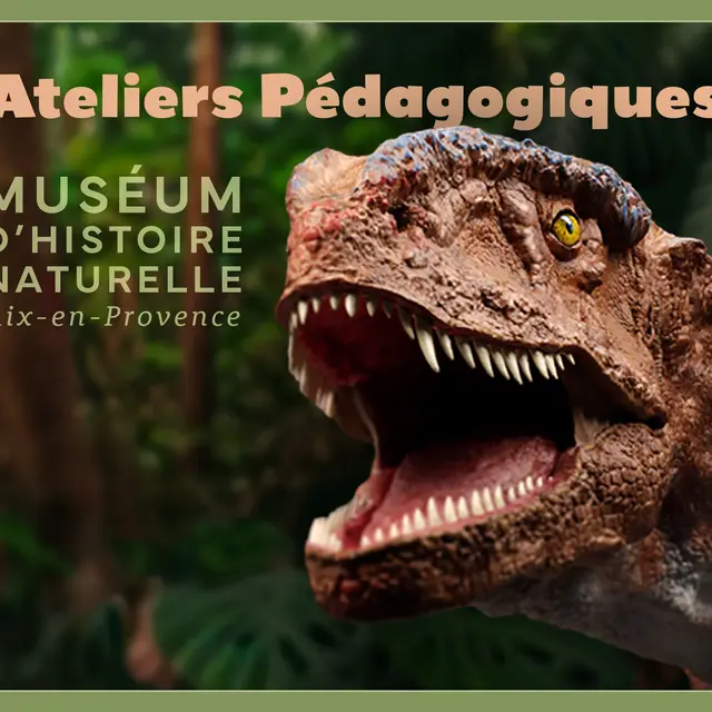 Ateliers Pédagogiques au Muséum - Vacances de Printemps_Aix-en-Provence
