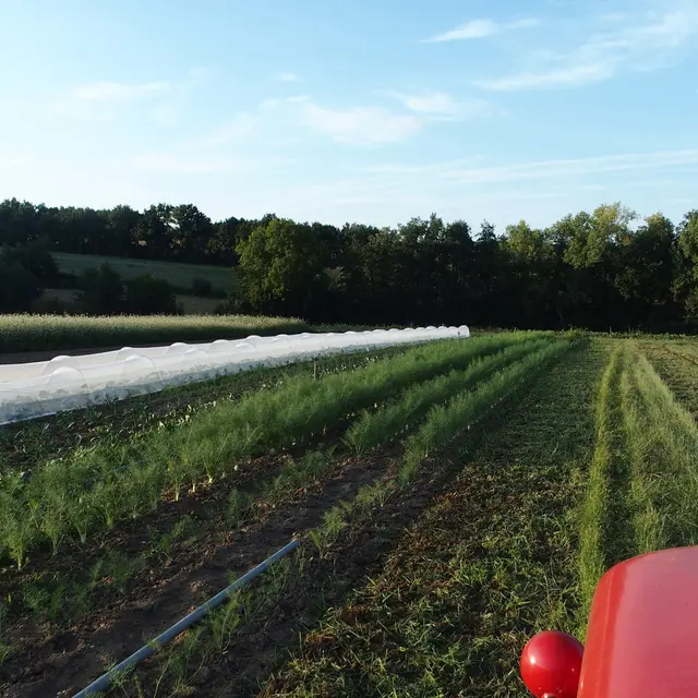 La ferme du petit tracteur