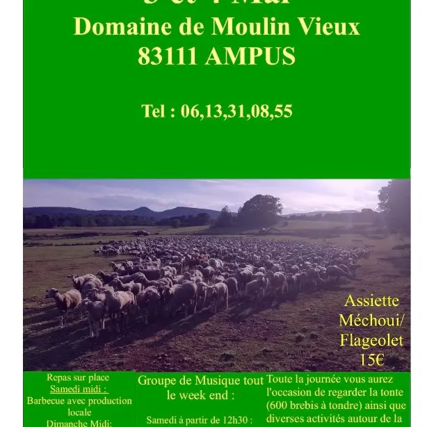 Fête de la tonte_Ampus