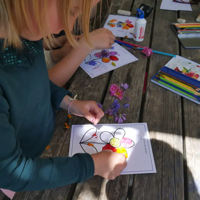 Atelier Herbier de plantes médicinales_Mane