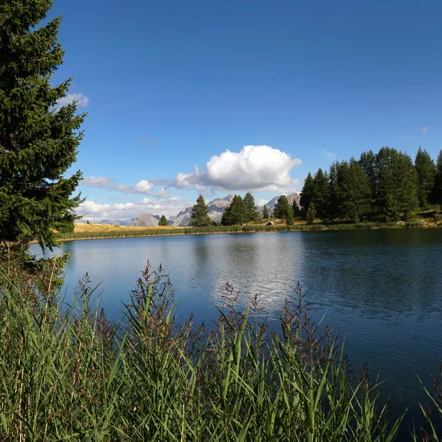 Les Lacs du Col Bas et Batterie de Dormillouse