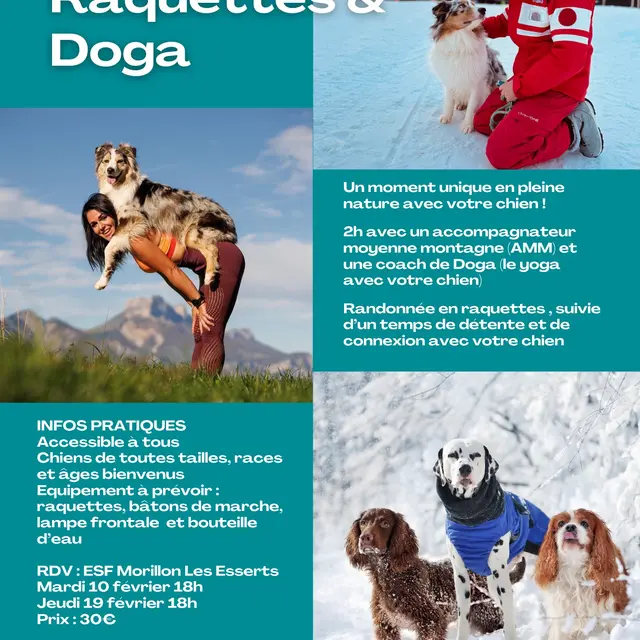 Rando Raquettes & Doga_Morillon