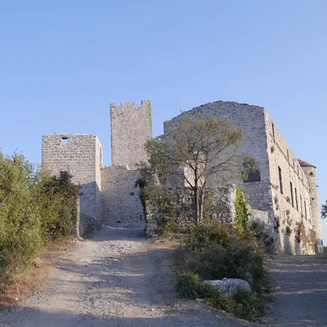Château de Tornac-2