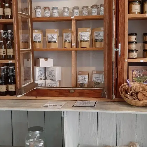 La boutique du jardin pour la Terre_Arlanc