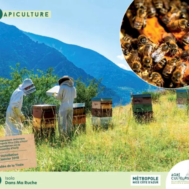 Dans ma ruche_Isola