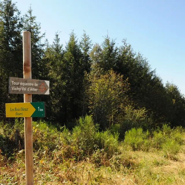 Chemin de randonnée