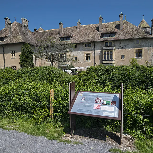 Ripaille et ses vignobles (Thonon-les-Bains)