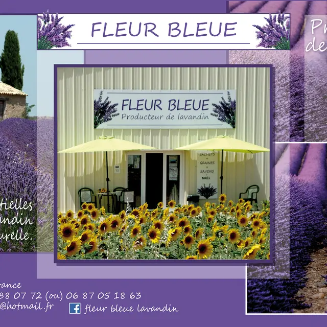 Fleur Bleue