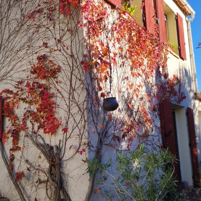 L'Oustalet à Sisteron