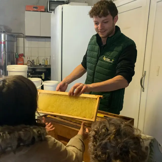 A la découverte du monde des abeilles et de leur nectar_Valeille