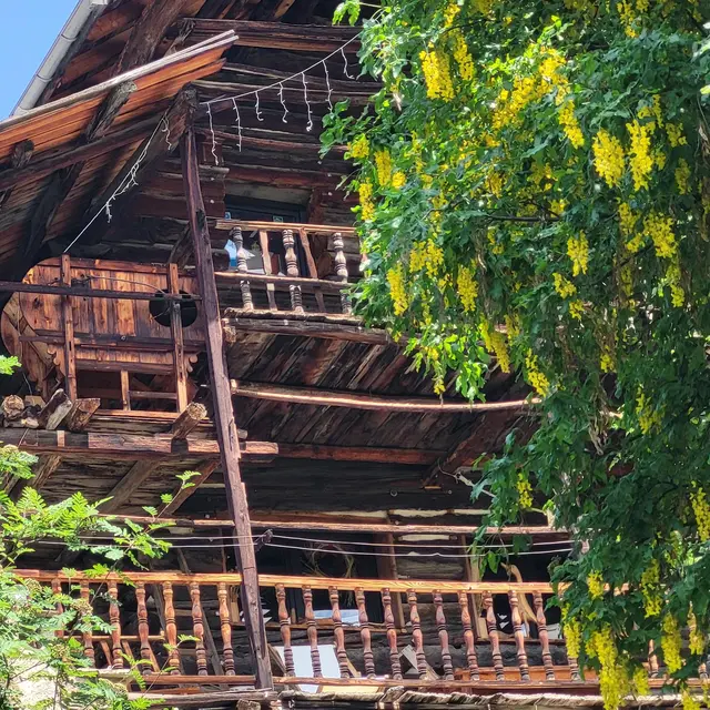 Les petits explorateurs et les maisons fustes_Molines-en-Queyras