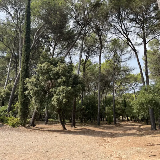 Aire André Luglia dit l'arboretum situé à Pierrefeu-du-Var