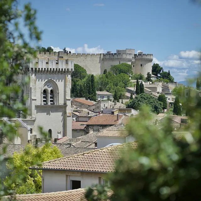 Villeneuve lez Avignon : suivez le guide !_Villeneuve-lez-Avignon