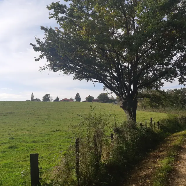 Foissiat - Ancienne Chartreuse de Montmerle